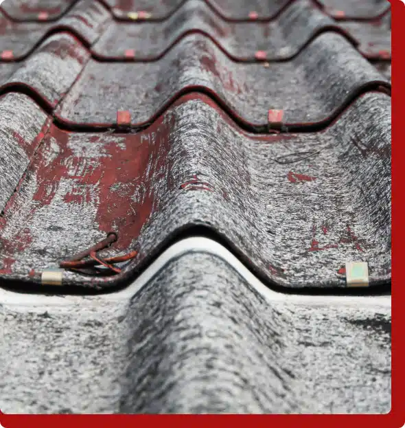 Types of Properties that Can Have Roof Tune-Ups